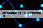 马斯克推荐狗狗币是真的吗（马斯克提到狗狗币）