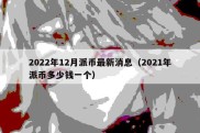 2022年12月派币最新消息（2021年派币多少钱一个）