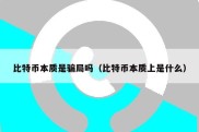 比特币本质是骗局吗（比特币本质上是什么）