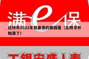 比特币2021年初暴涨的原因是（比特币开始涨了）