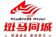 外汇pp是什么意思（外汇pips）