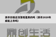 派币价格还没落地是真的吗（派币2020年底能上市吗）