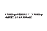 工商银行app如何购买外汇（工商银行app购买外汇怎样换人民币支付）