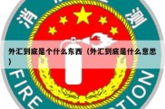 外汇到底是个什么东西（外汇到底是什么意思）